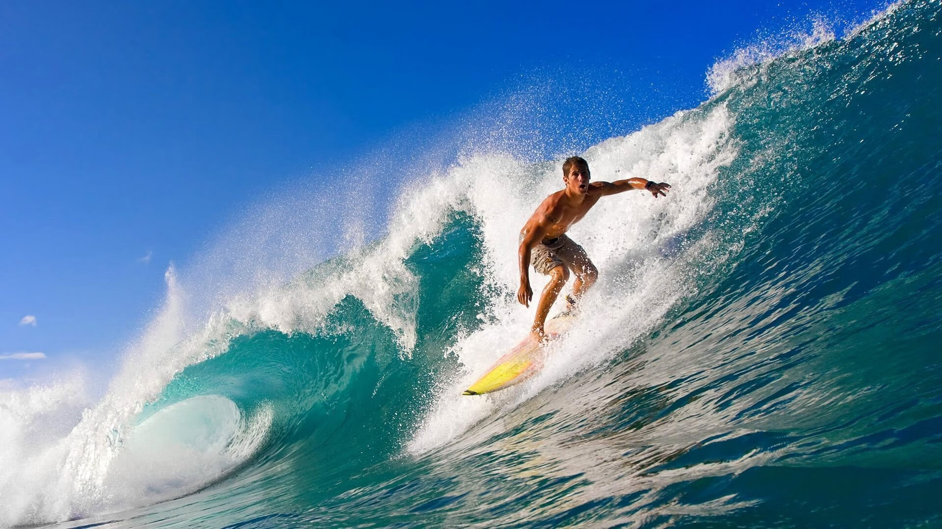 开云app注册-WRC驾驶技巧：从新手到高手的提升路径，wrc车手的车技有多高